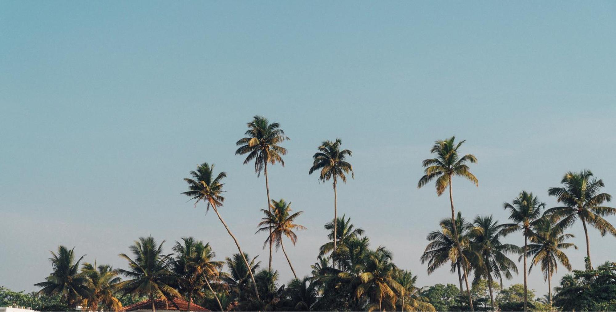 Lucky'S Surf Camp Bed & Breakfast Weligama Ngoại thất bức ảnh