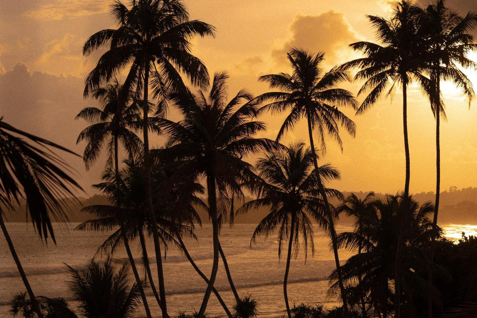 Lucky'S Surf Camp Bed & Breakfast Weligama Ngoại thất bức ảnh